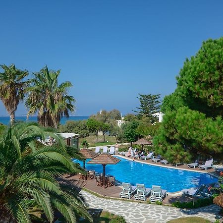 Alkyoni Beach Hotel Naxos City Екстериор снимка