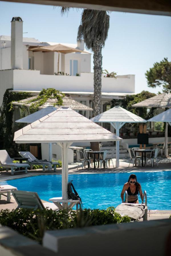 Alkyoni Beach Hotel Naxos City Екстериор снимка